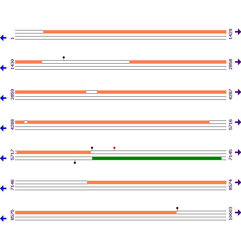 Genome View