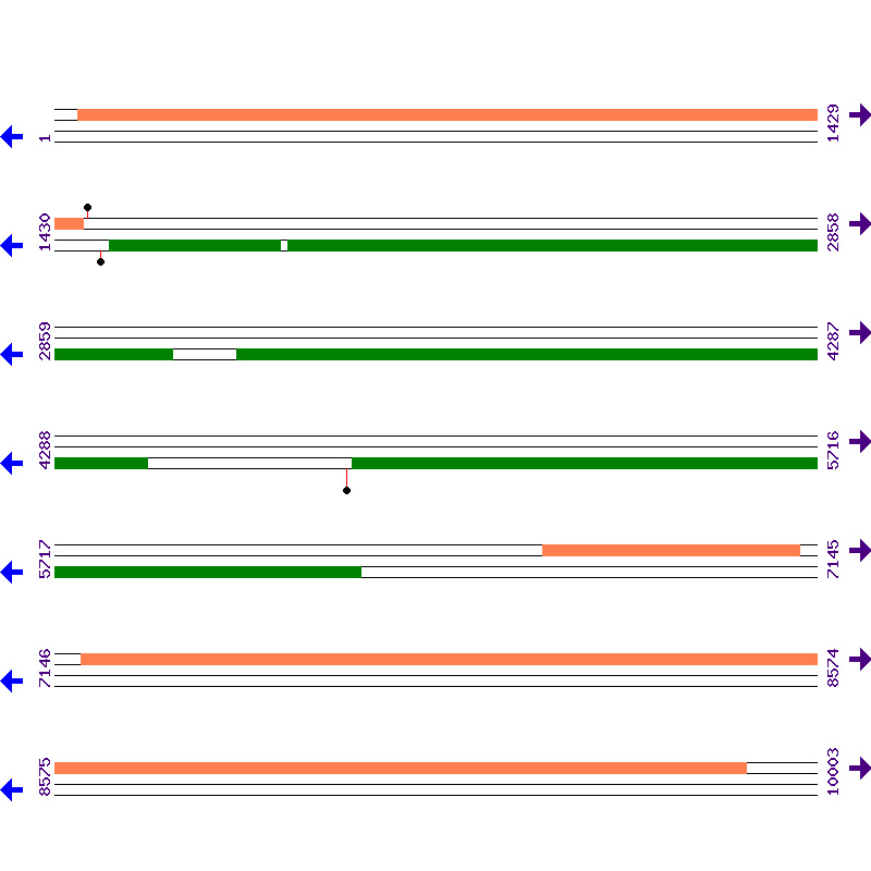 Genome View