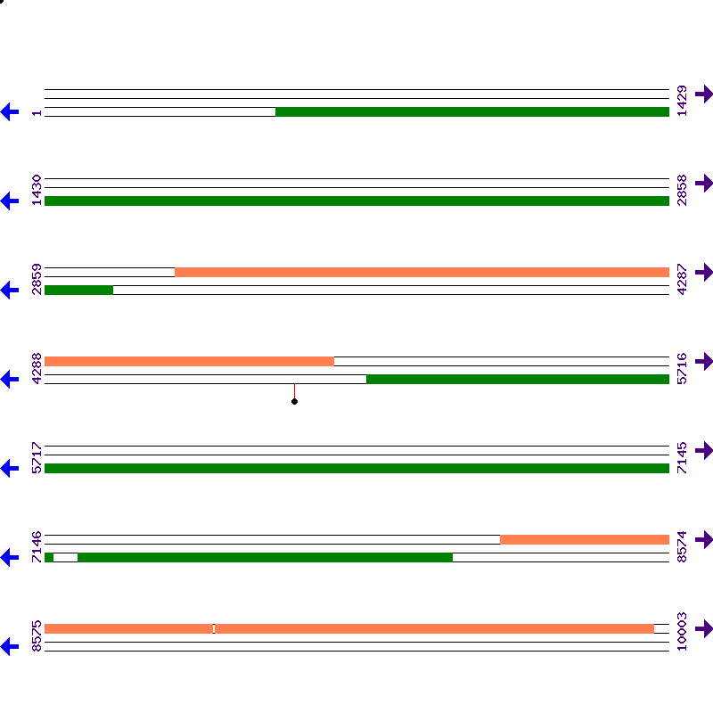 Genome View