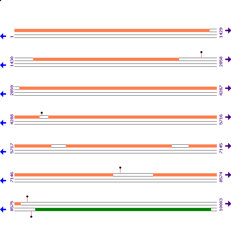 Genome View