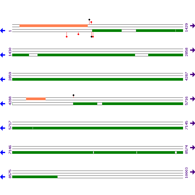 Genome View