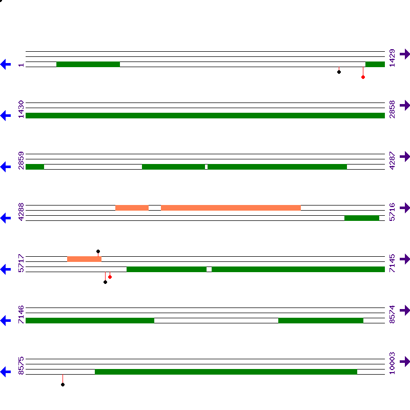 Genome View