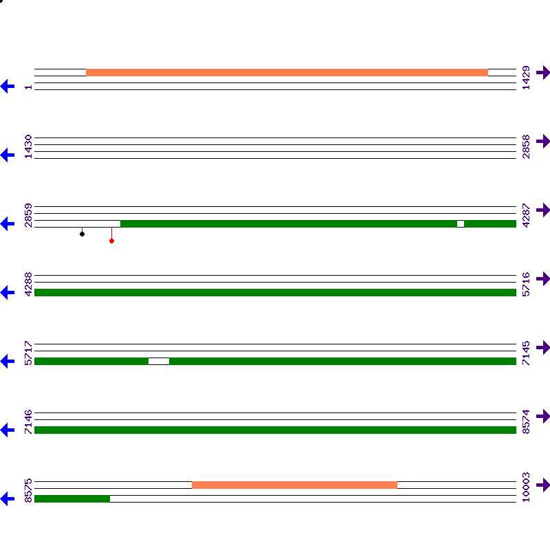 Genome View