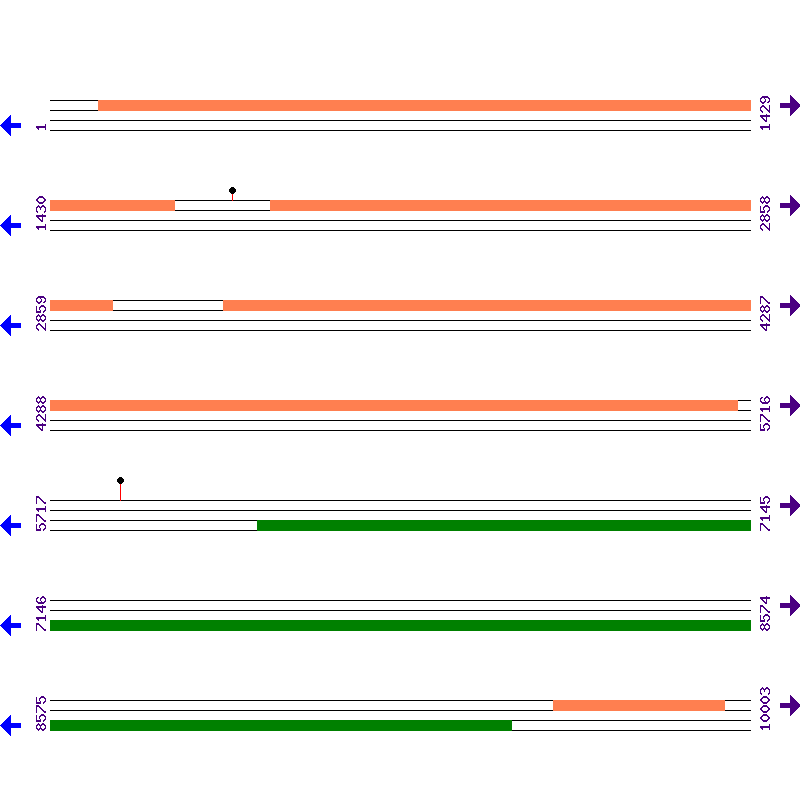 Genome View