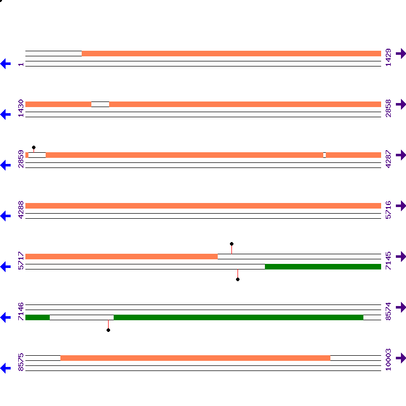 Genome View