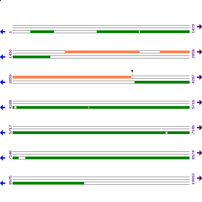 Genome View