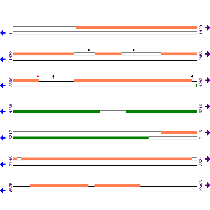 Genome View