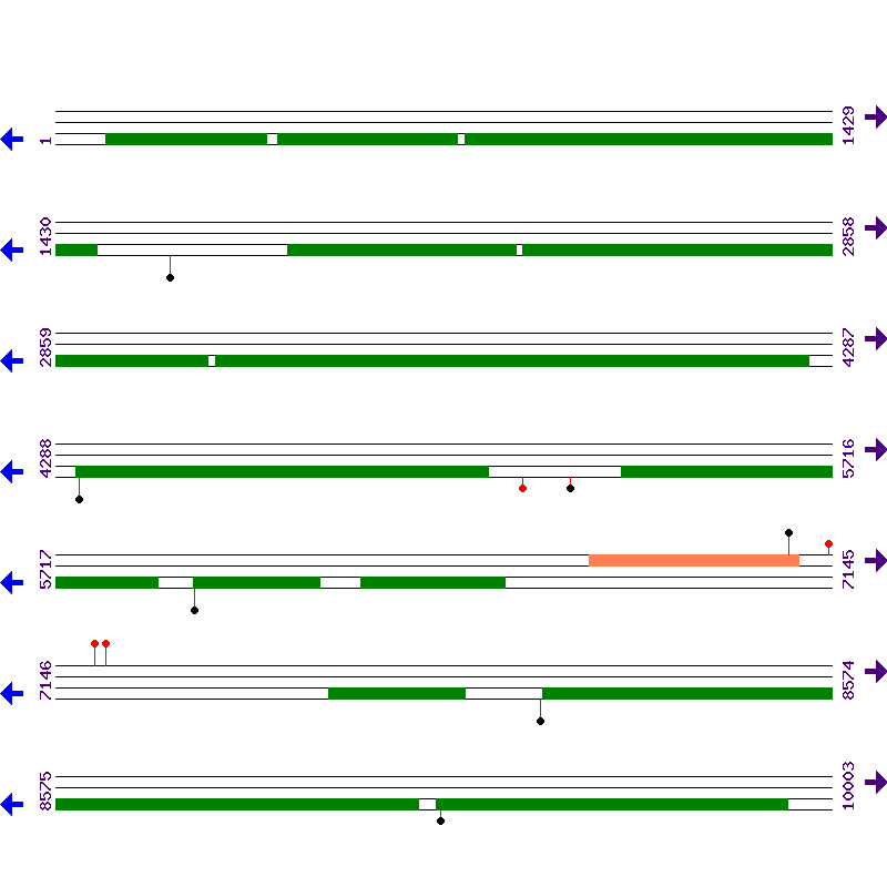 Genome View