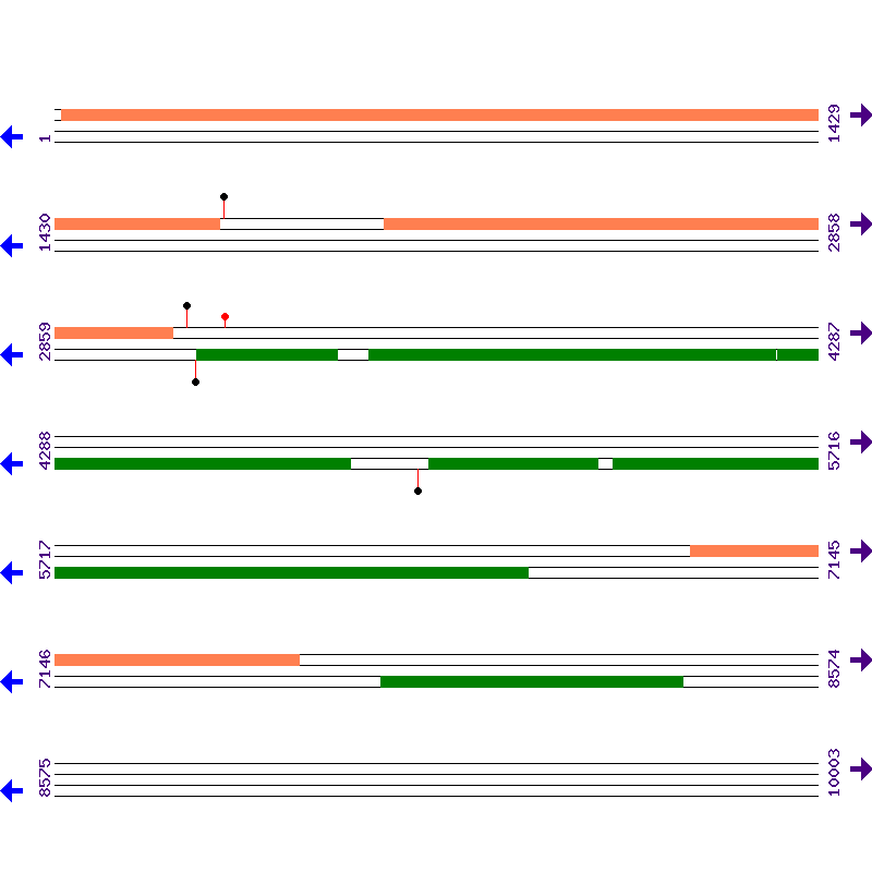 Genome View