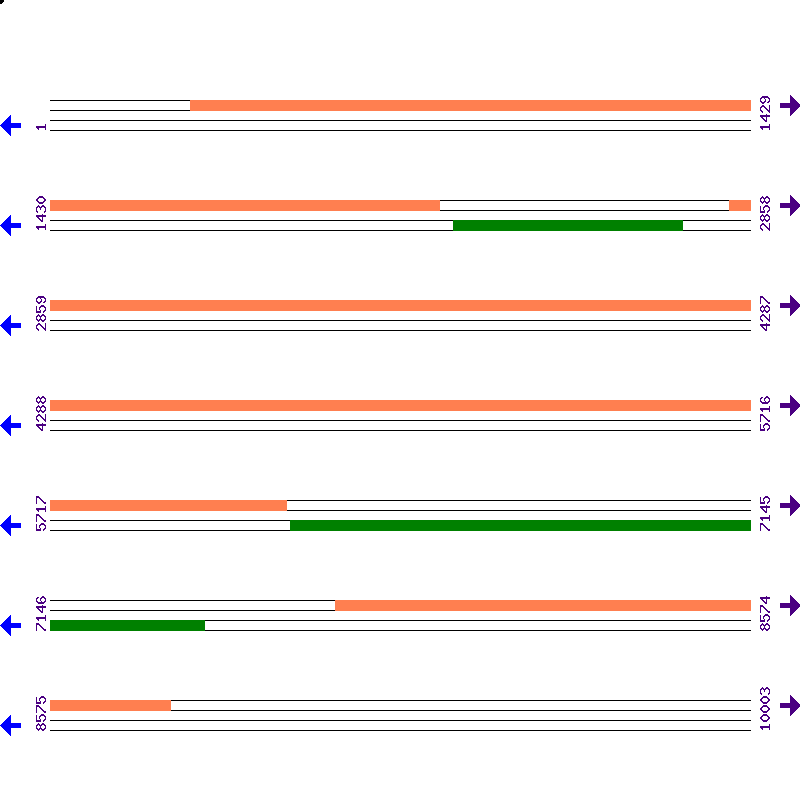 Genome View