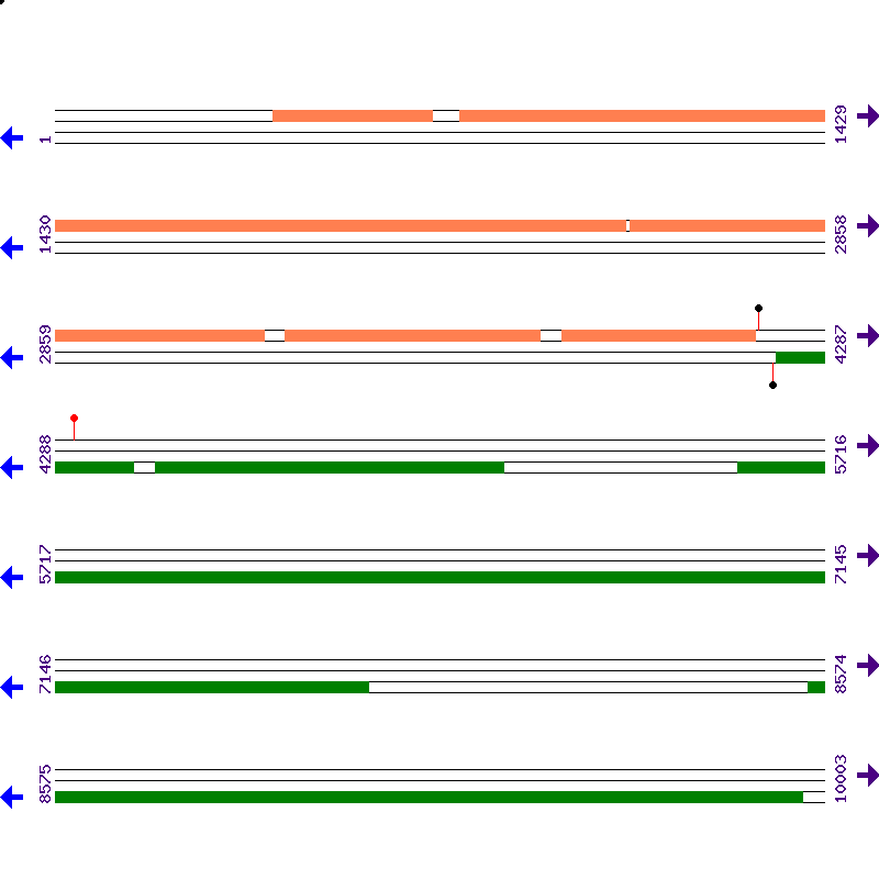 Genome View