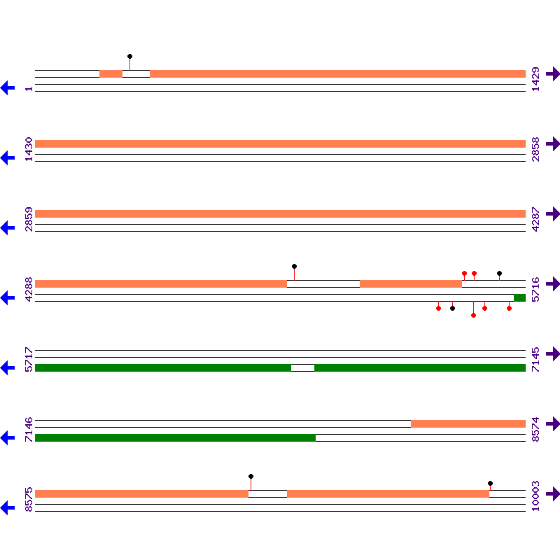 Genome View