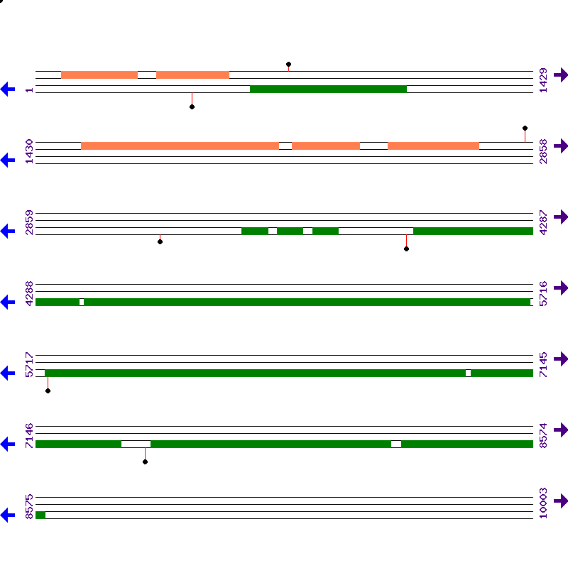 Genome View