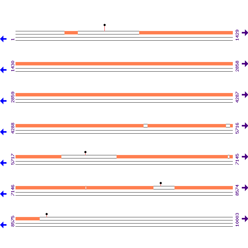 Genome View