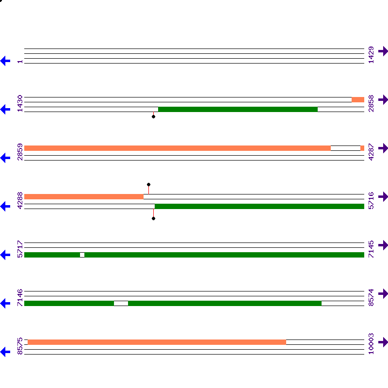 Genome View
