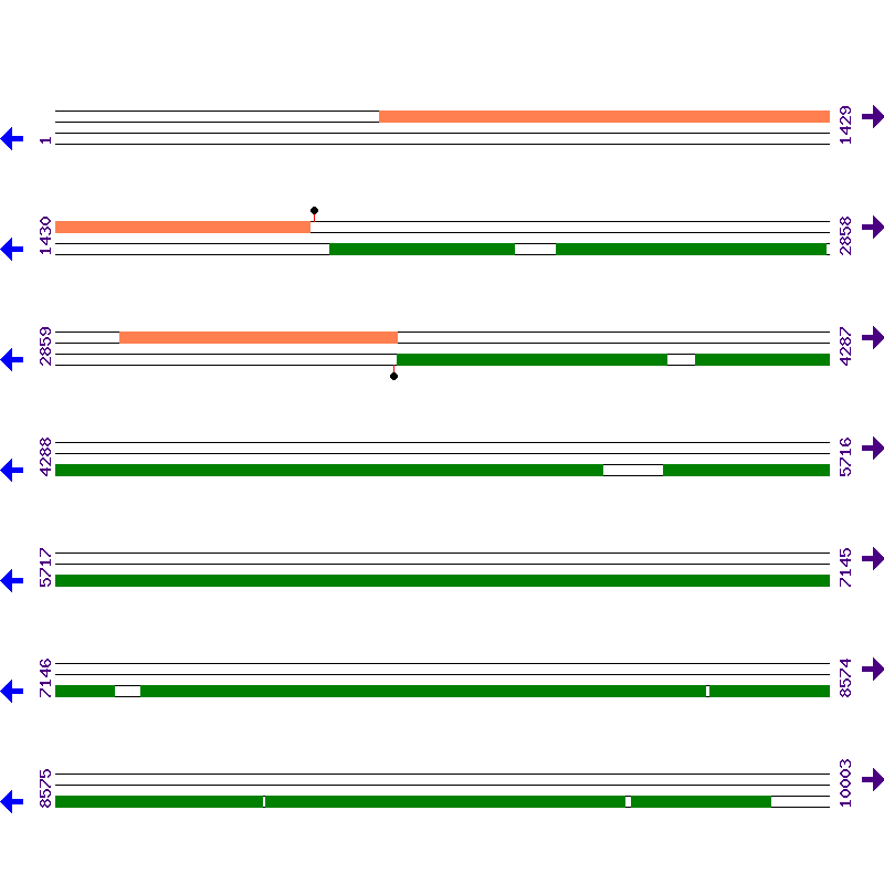 Genome View