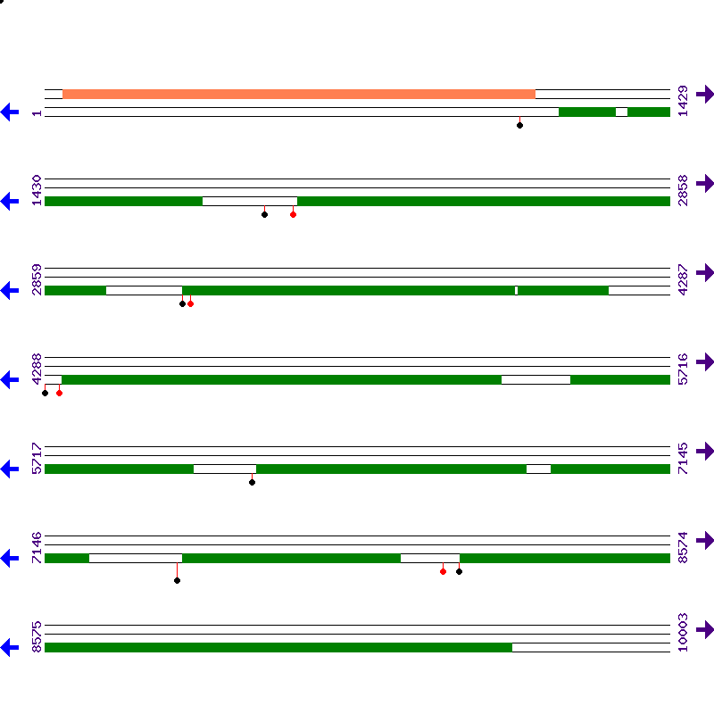Genome View
