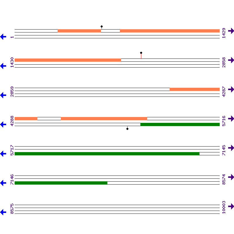 Genome View