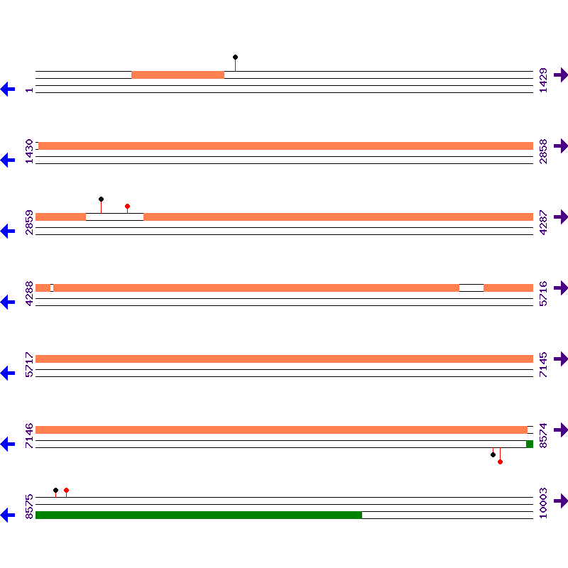 Genome View