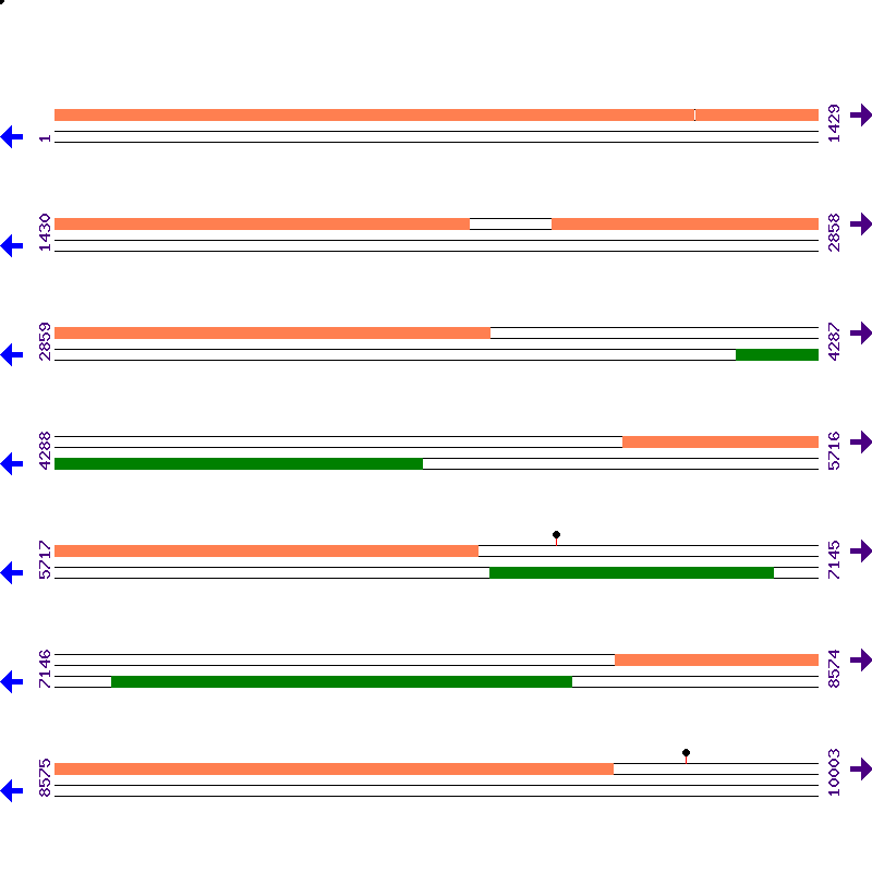 Genome View