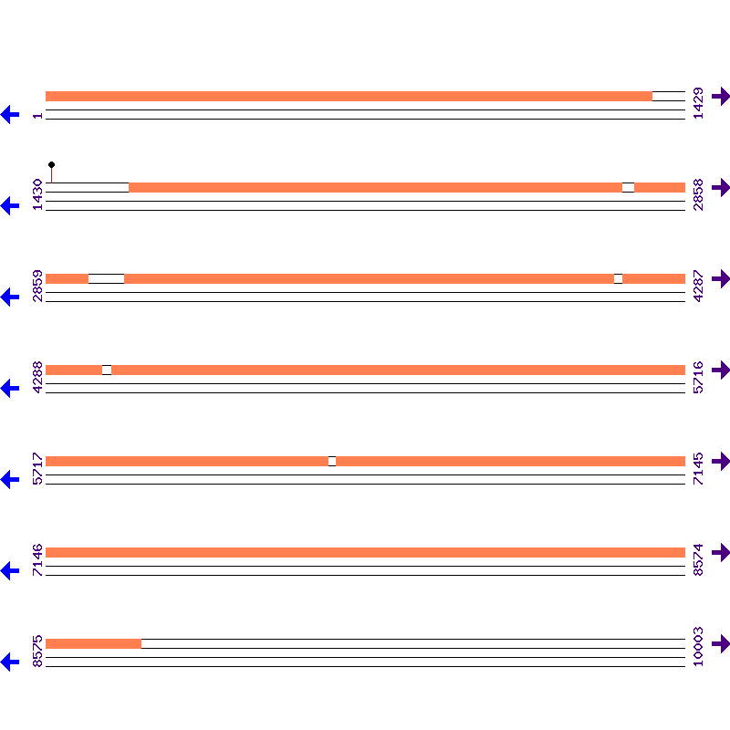 Genome View