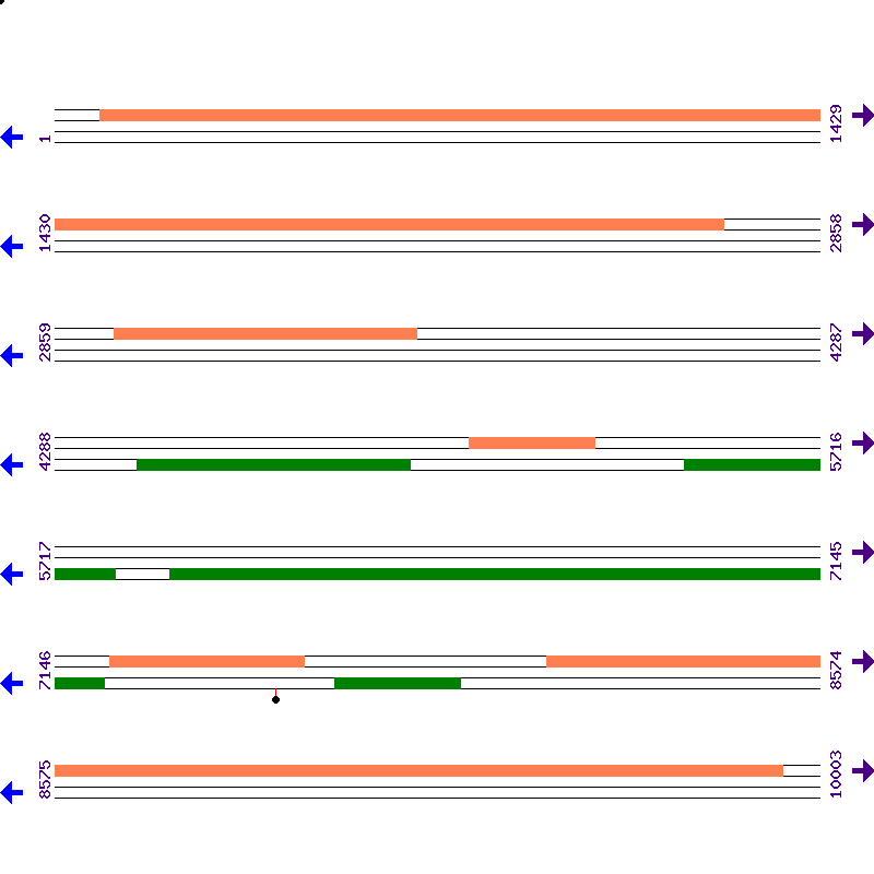 Genome View