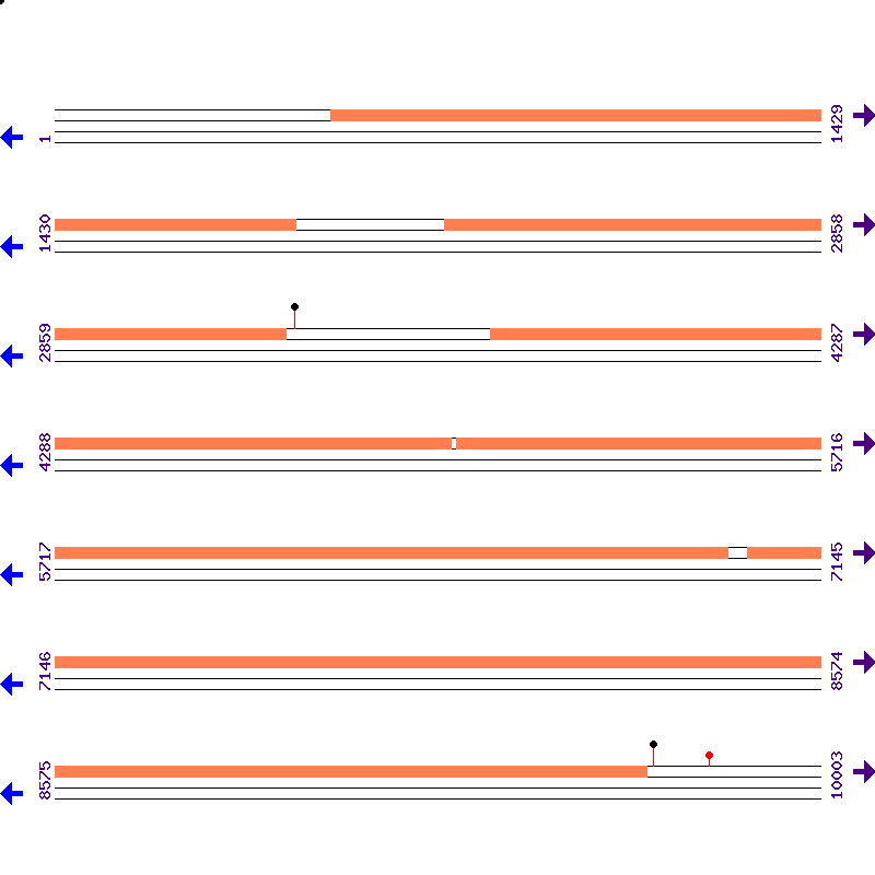 Genome View