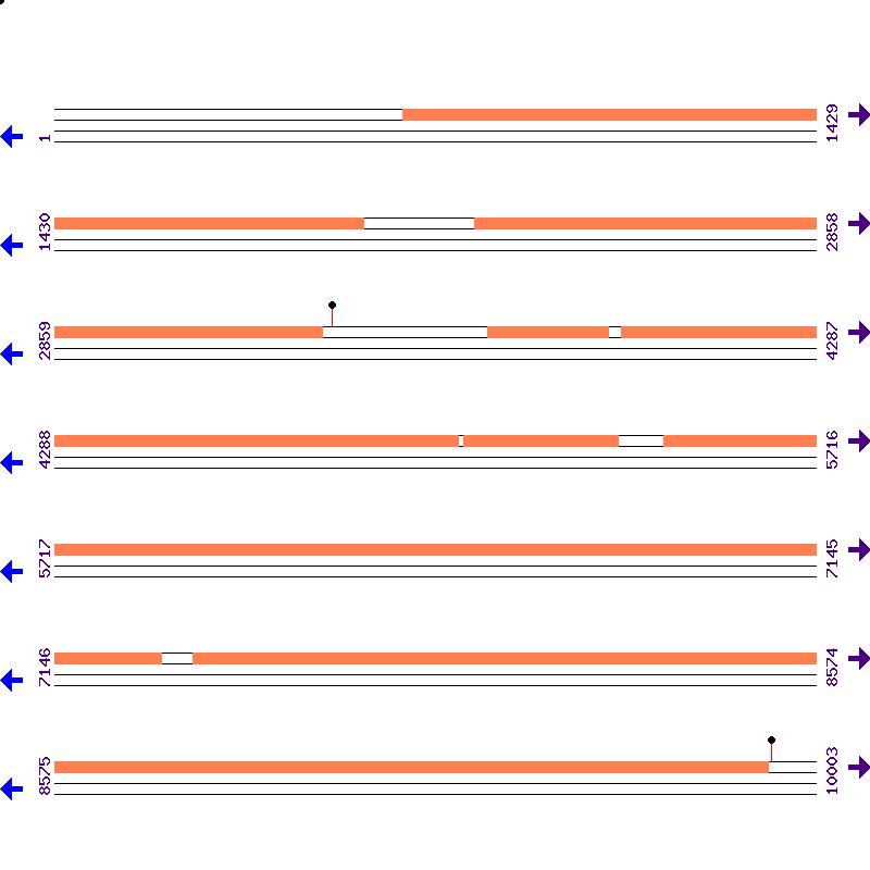 Genome View