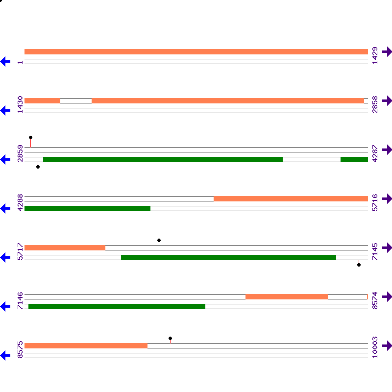 Genome View