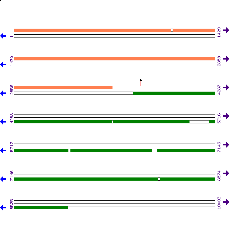Genome View