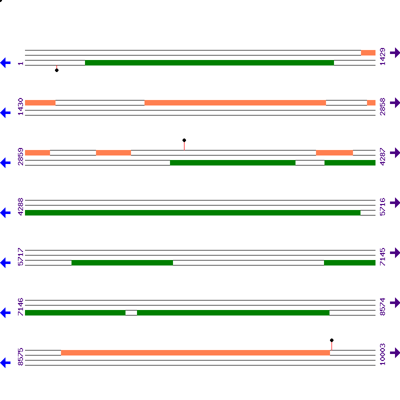 Genome View
