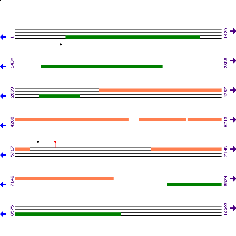 Genome View