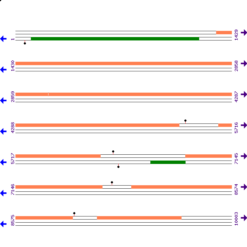 Genome View
