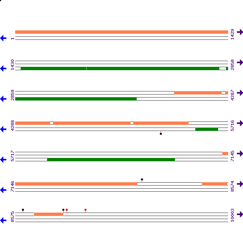 Genome View