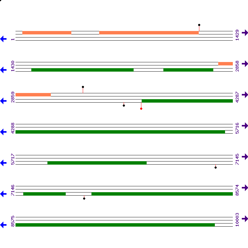 Genome View