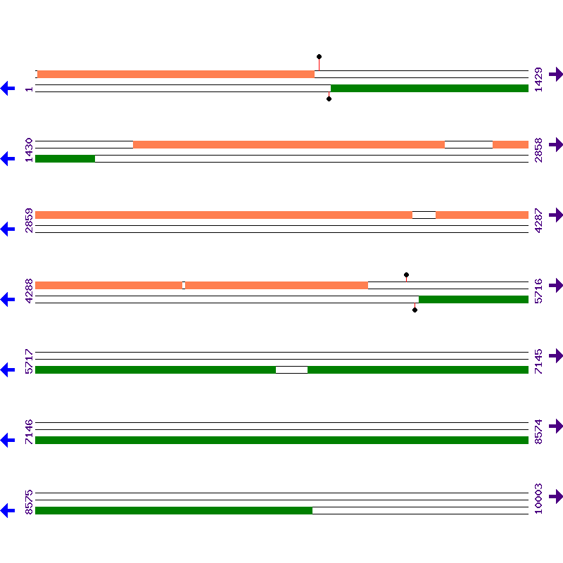 Genome View