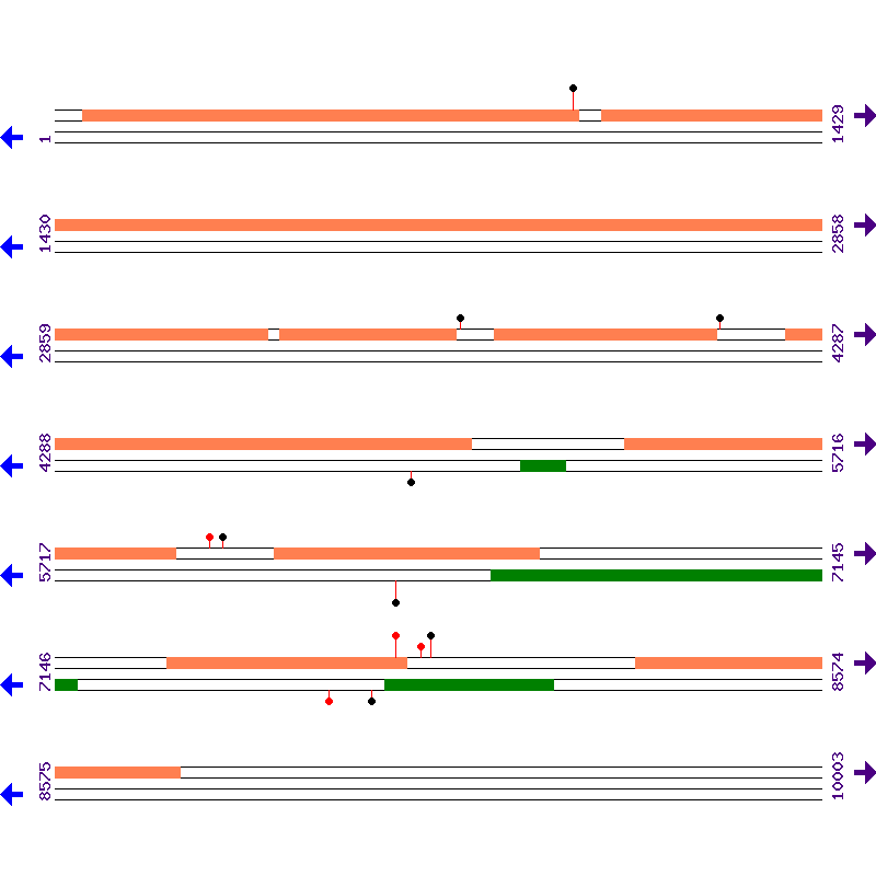 Genome View
