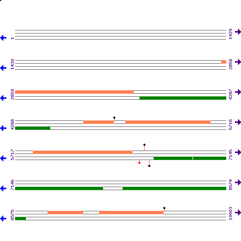 Genome View