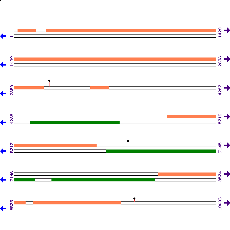 Genome View