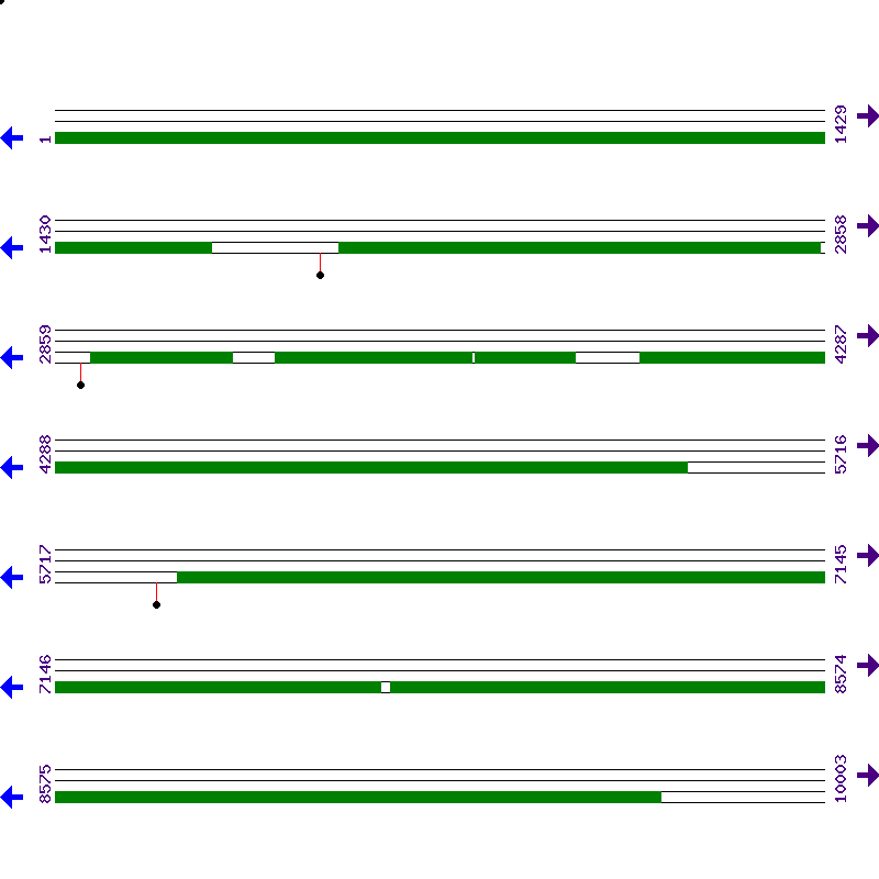 Genome View