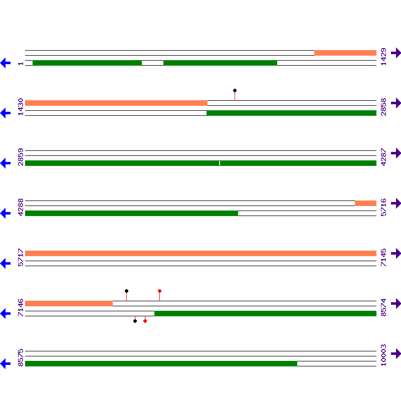 Genome View
