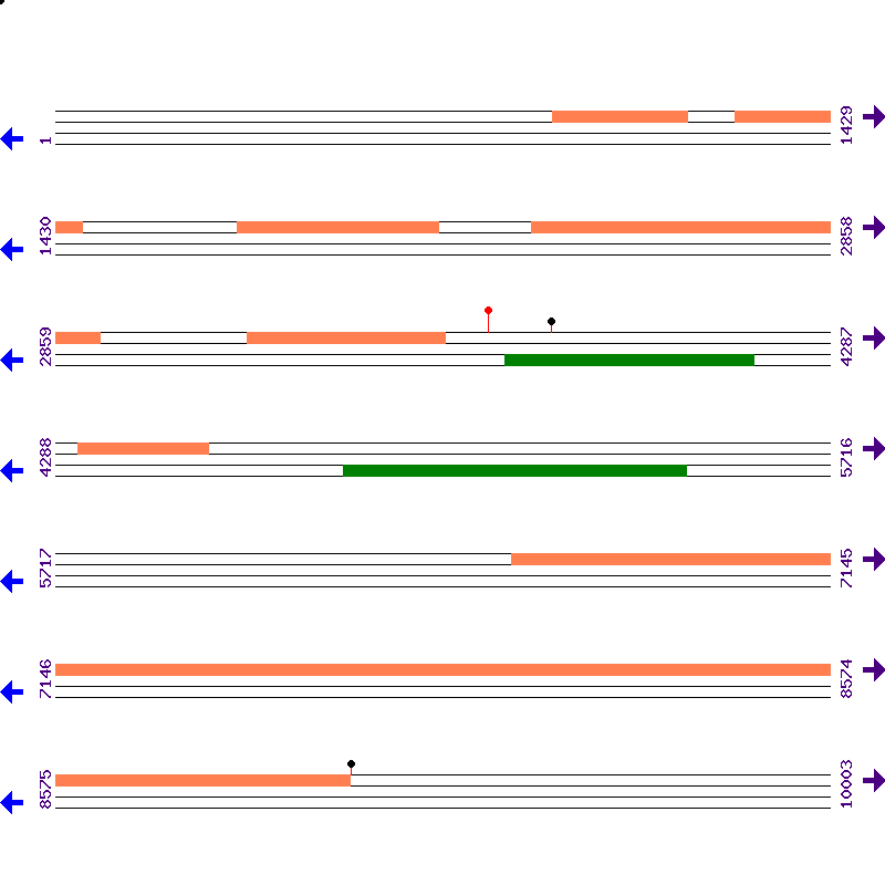 Genome View
