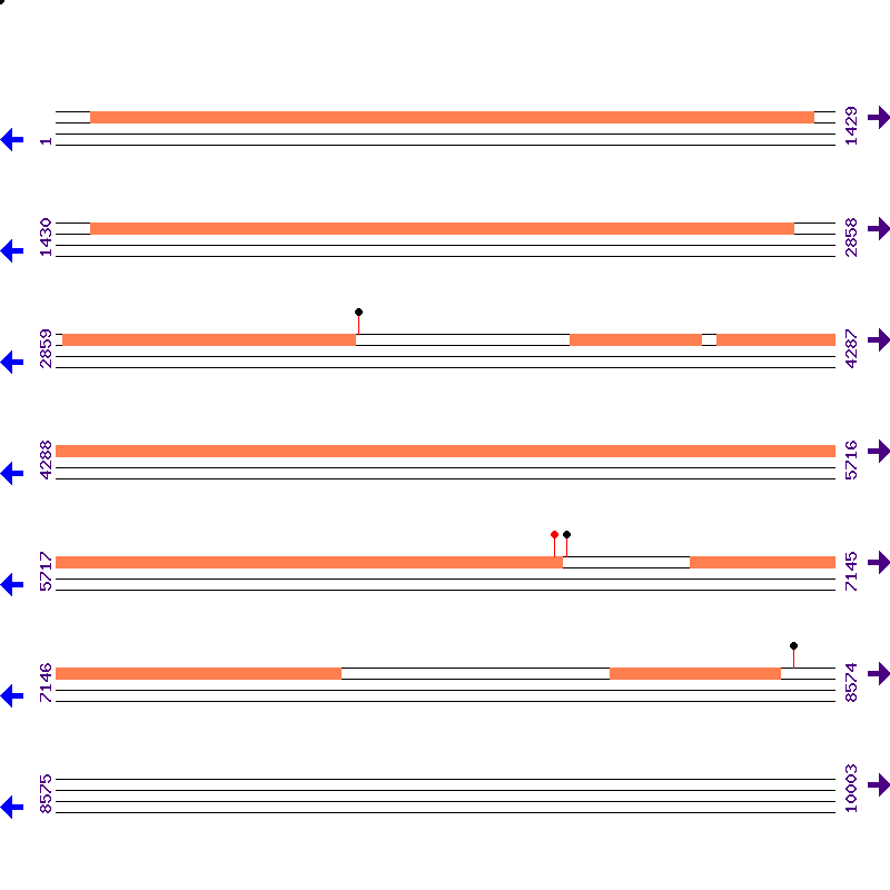 Genome View