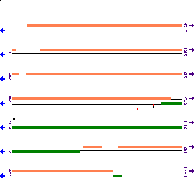 Genome View