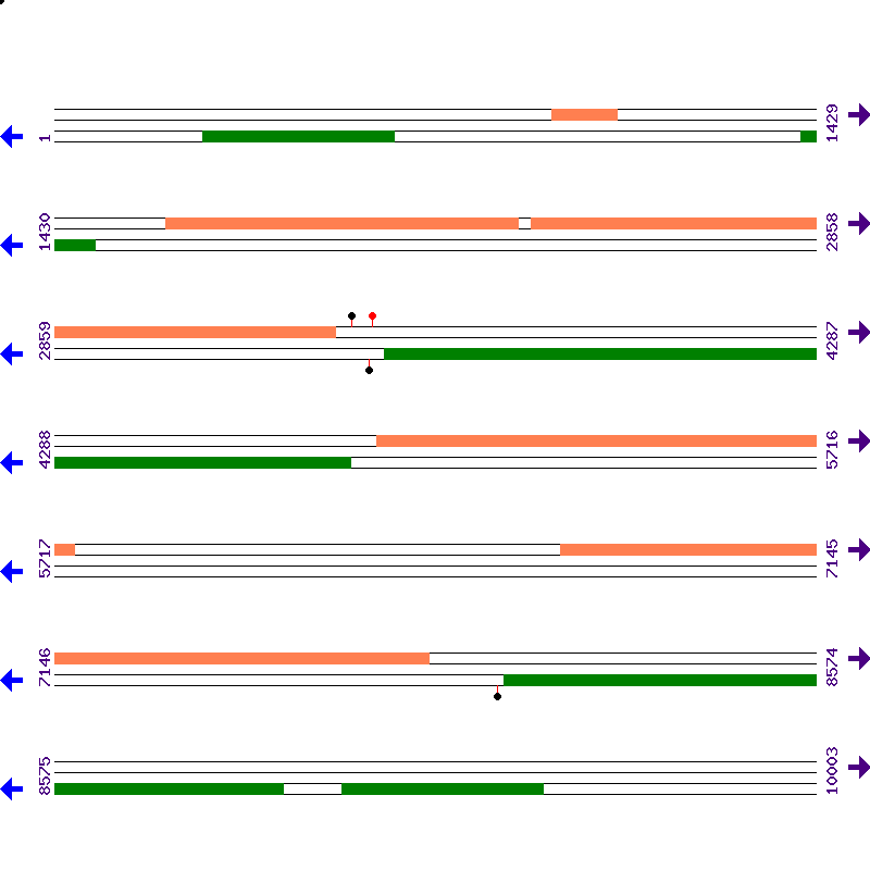 Genome View
