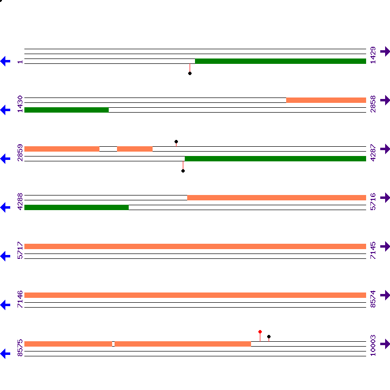 Genome View