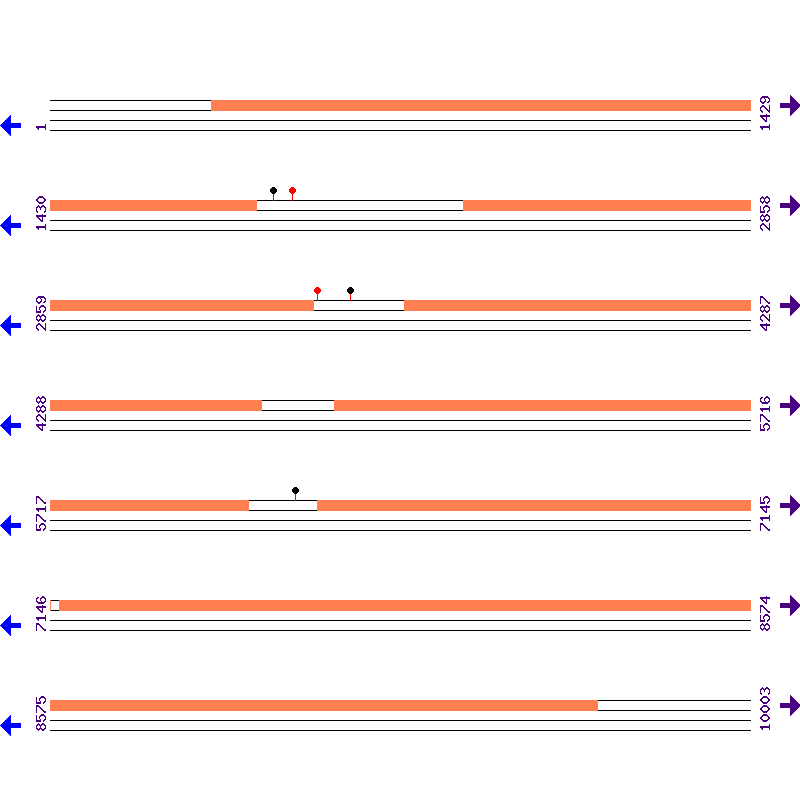 Genome View