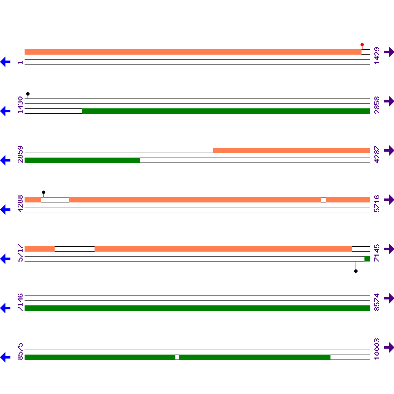 Genome View