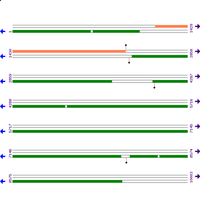 Genome View