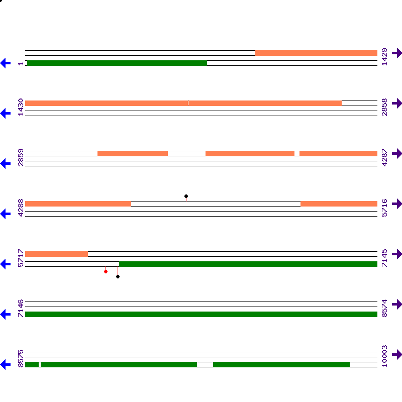 Genome View